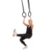 ФИТНЕС ГИМНАСТИЧКИ  КАРИКИ Gymnastic Rings inSPORTline CF020 13218