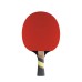 ПИНГ ПОНГ ПАЛКА TABLE TENNIS BAT Cornilleau Excell 2000 Carbon bat indoor 13561