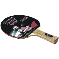 ПИНГ ПОНГ ПАЛКА TENNIS TABLE BAT ARROW 2 stars 13672