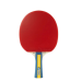 ПИНГ ПОНГ ПАЛКА JOOLA Team Master table tennis bat 14097 IN STOCK ПИНГ ПОНГ ПАЛКА JOOLA Team Master table tennis bat 14097 IN STOCK