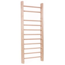 ФИТНЕС РИПСТОЛ Ladders - ribstole MASTER 230 x 80 cm - lacquered 14113 IN STOCK ФИТНЕС РИПСТОЛ Ladders - ribstole MASTER 230 x 80 cm - lacquered 14113 IN STOCK